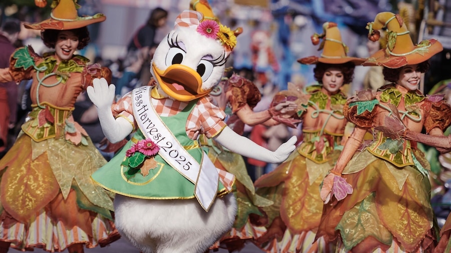 Disneyland® Parks with Optional Transport from Paris