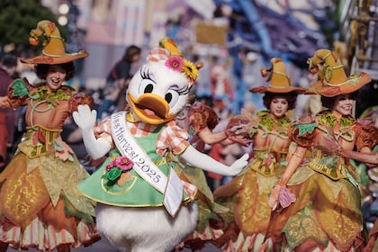 Disneyland® Parks with Optional Transport from Paris
