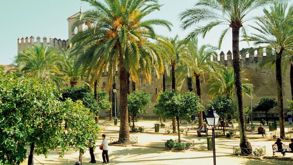 Palm trees outside a palace in Cordoba