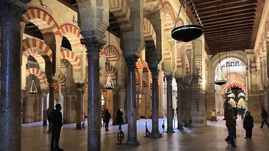 Full-Day Tour of Caliphal Córdoba