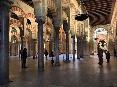 Full-Day Tour of Caliphal Córdoba