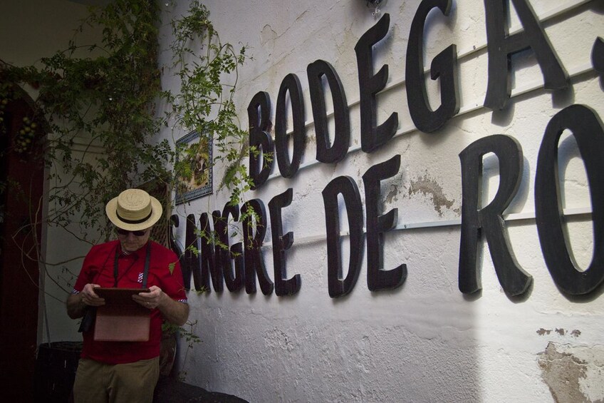 Full-Day Tour to Historic Ronda