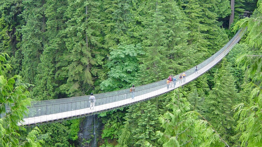 Vancouver: Floatplane e Capilano Suspension Bridge Combo