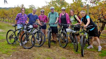 Mclaren Vale Bike and Wine Tour from Adelaide