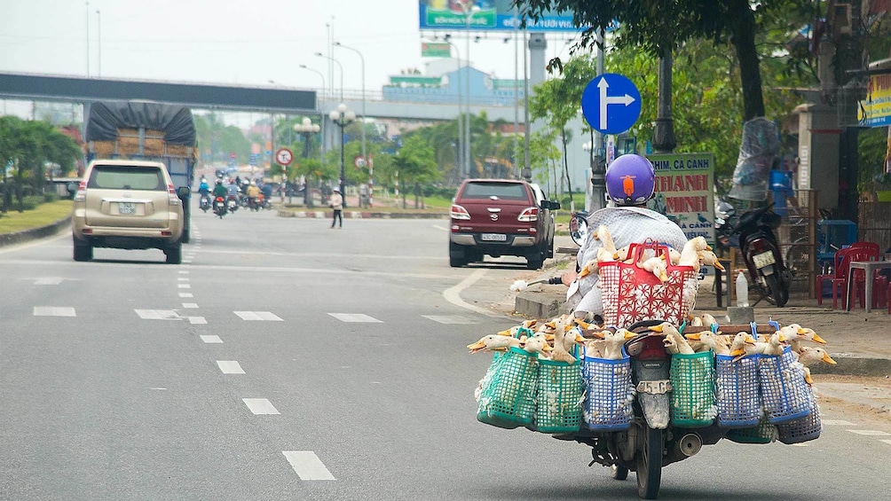 Individual driving motorcycle loaded down with food in Hanoi