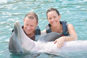 Private Dolphin-Swimming Experience with Museum Admission