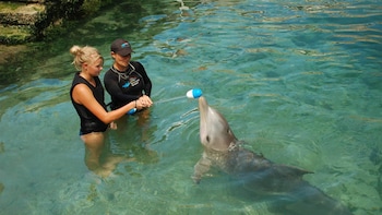 Marine Mammal Specialist for a Day Experience