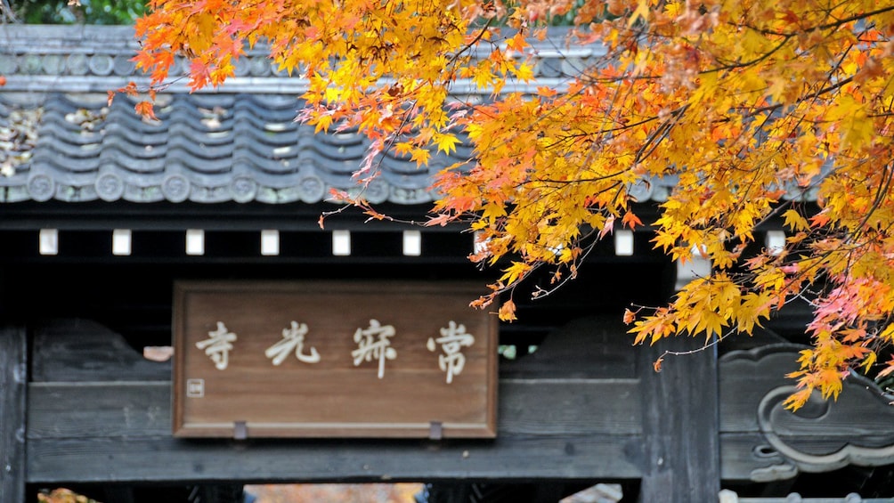 wooden plaque at a temple entrance in Japan