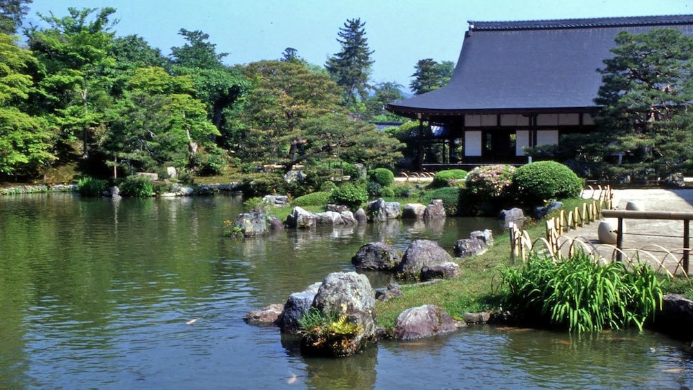 Koi pond next to a temple in Japan