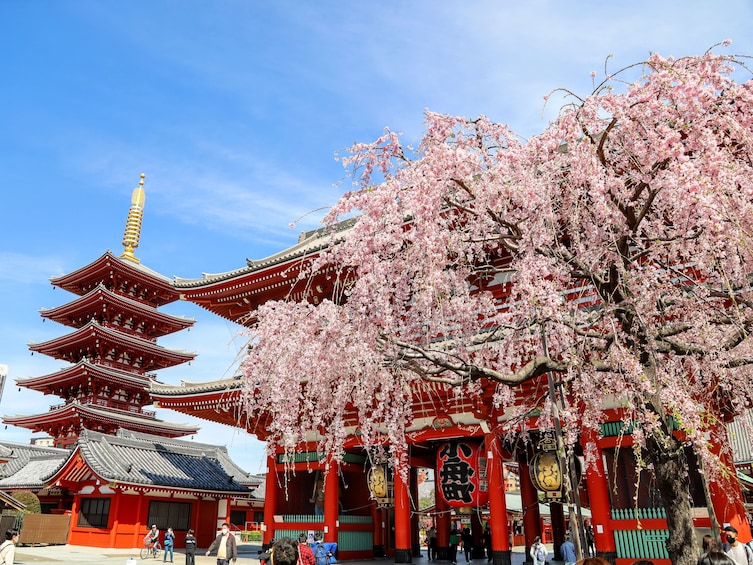 Full-Day Sightseeing Bus Tour in Tokyo with Cruise