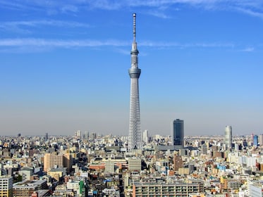 Ganztägige Sightseeing Bus Tour in Tokio mit Kreuzfahrt