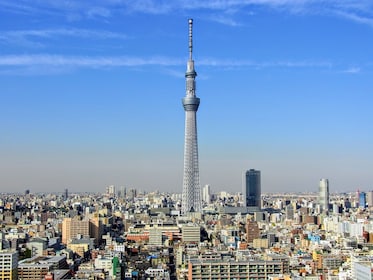 Sightseeingtour van een hele dag per bus door Tokio, inclusief cruise