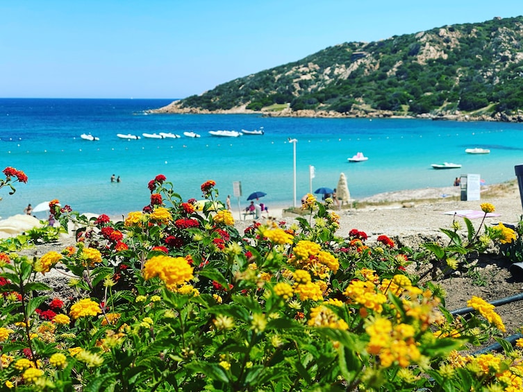 Costa Smeralda Sightseeing Tour in Sardinia: Small Group