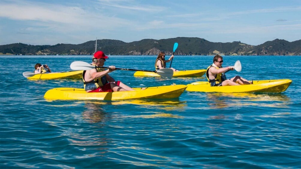 Kayakers at the Bay of Islands, New Zealand