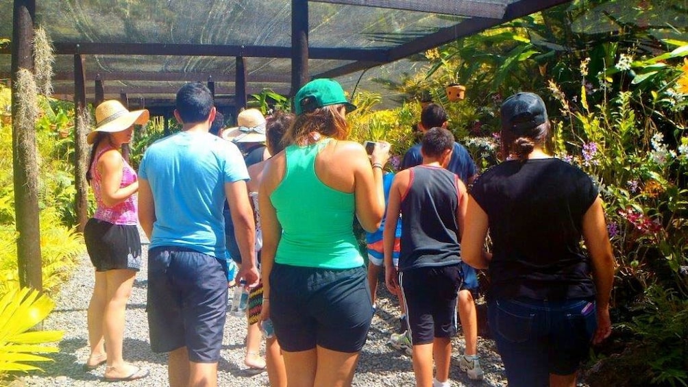 Tour group walking through a garden in Fiji