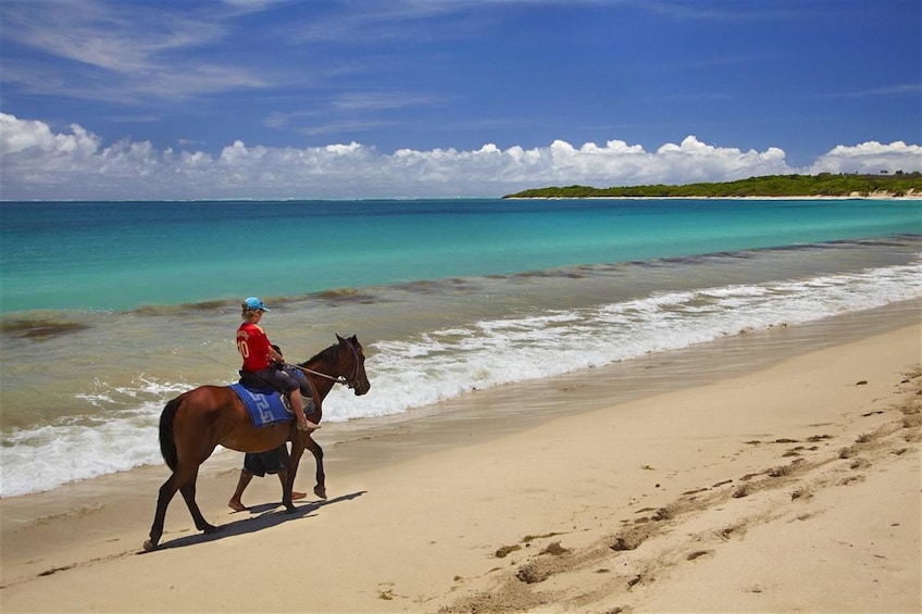 Natadola Beach Tour with  Village Visit