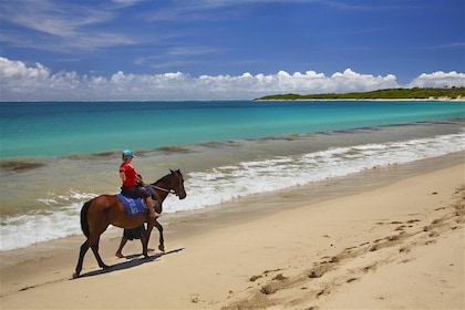 Entdecke Fijis berühmten Strand