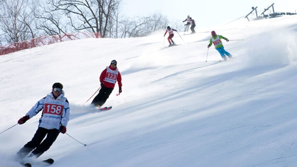 skier on the slopes