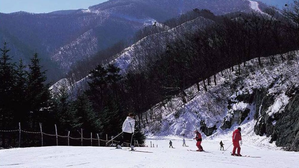 skier on the slopes