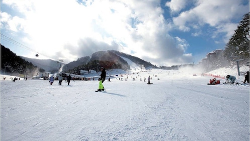 阿尔卑西亚滑雪场私人之旅