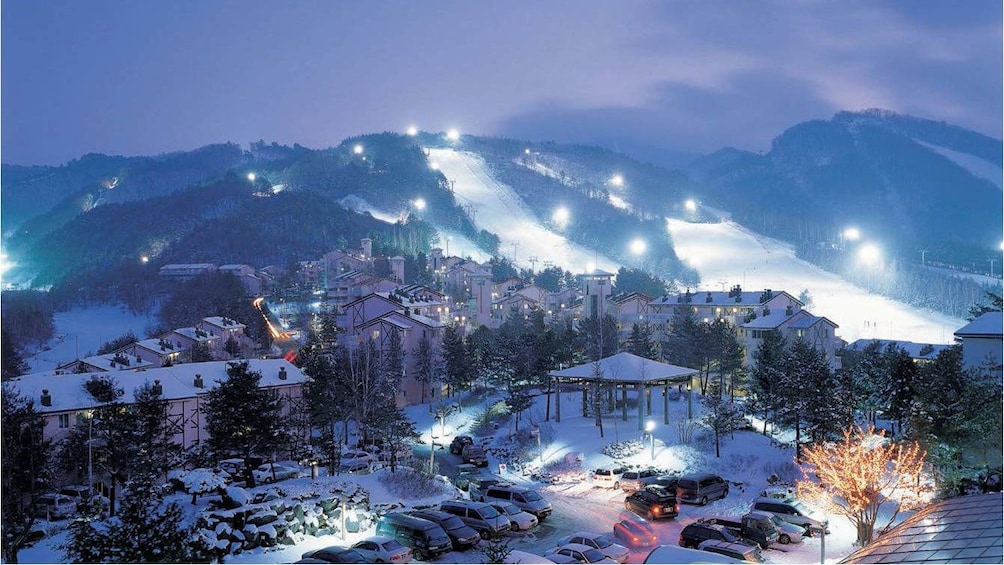 aerial view of ski resort