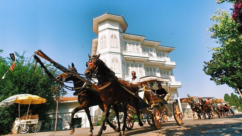 Full-Day Tour of Princes' Islands & Büyükada