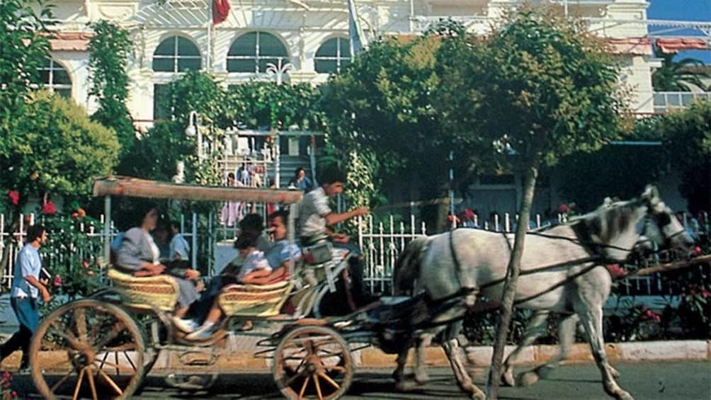 Horse carriage in Istanbul