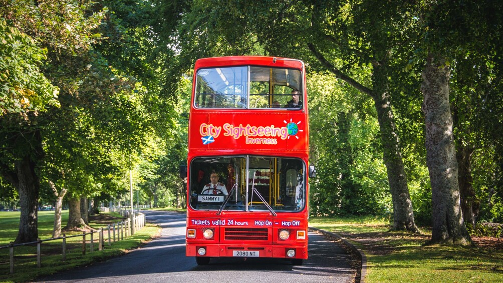 Red tour bus driving by road lined with several trees.