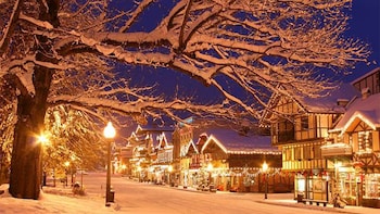 Private Leavenworth Christmas Lighting Festival Charter