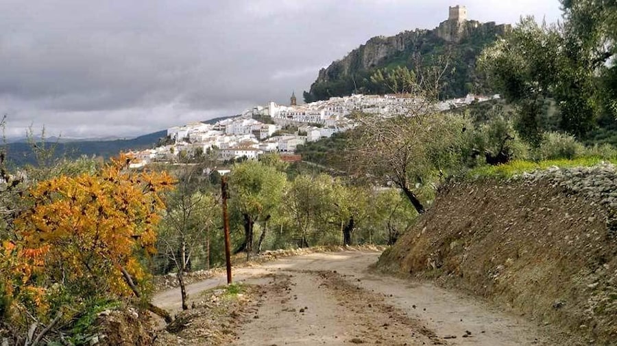 a narrow dirt road leading to a town in Spain