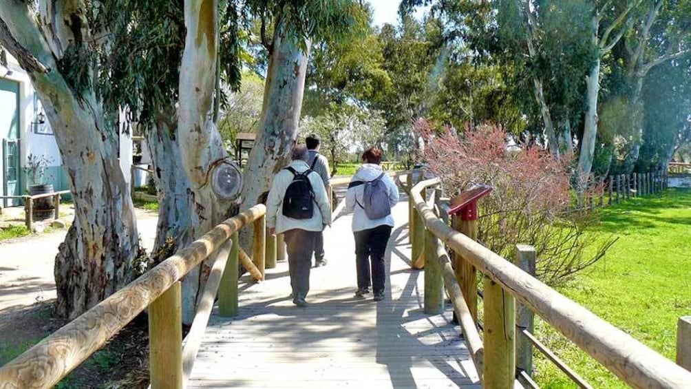 crossing a wooden passage in Spain