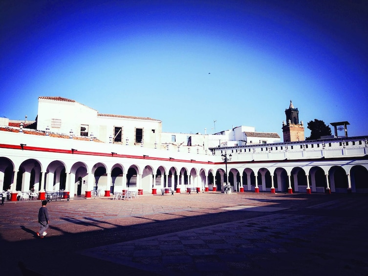 Carmona & Necropolis: Guided Half-Day Tour from Seville