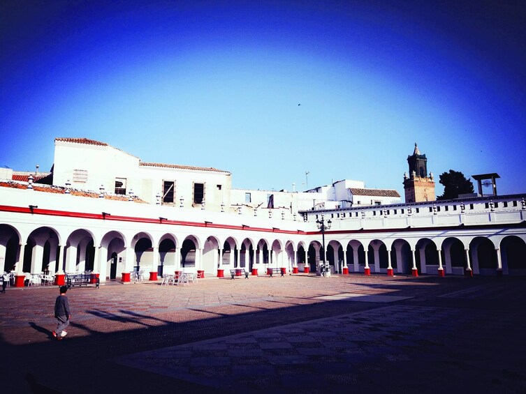 Carmona & Necropolis: Guided Half-Day Tour from Seville