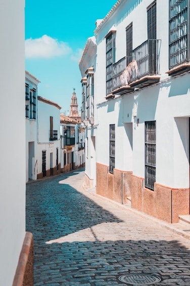Carmona & Necropolis: Guided Half-Day Tour from Seville