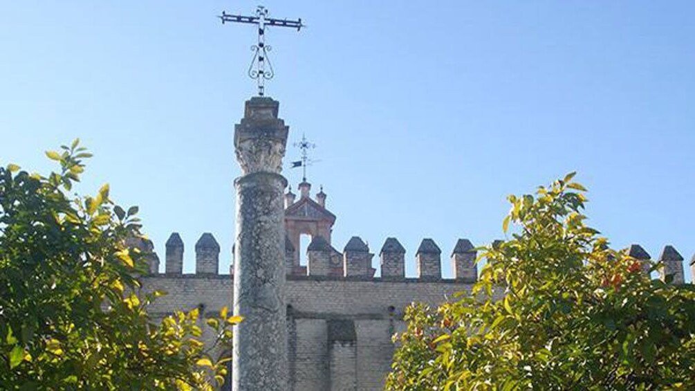 castle walls and trees