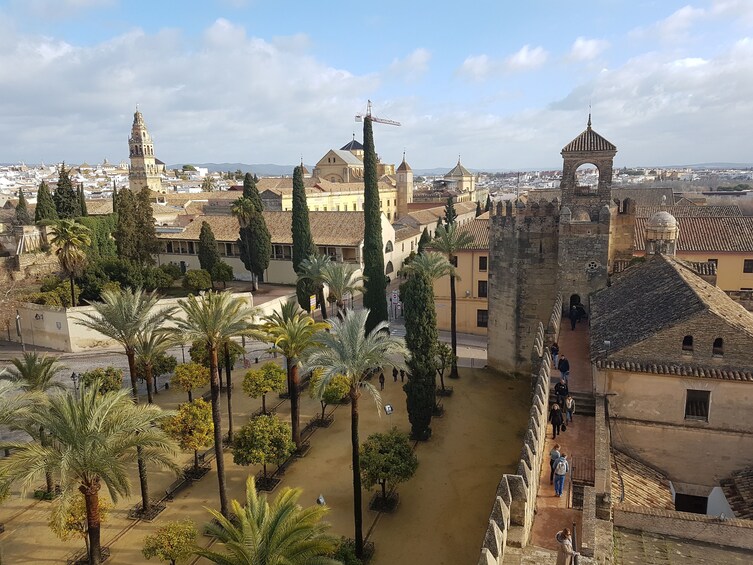 Córdoba and Carmona Full-Day Tour