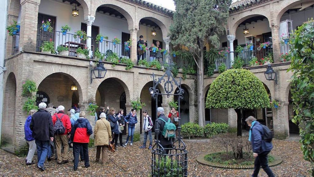 tour groups in city