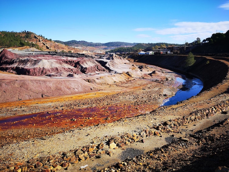 Rio Tinto & Aracena Full-Day Excursion