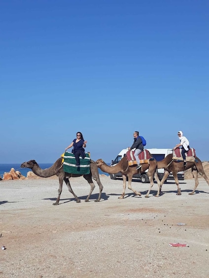 Guided Day Tour of Tangier by Ferry with Lunch from Seville