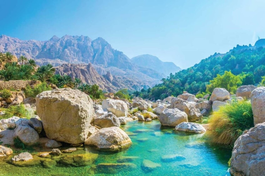 Discover the South & Wadi Shab