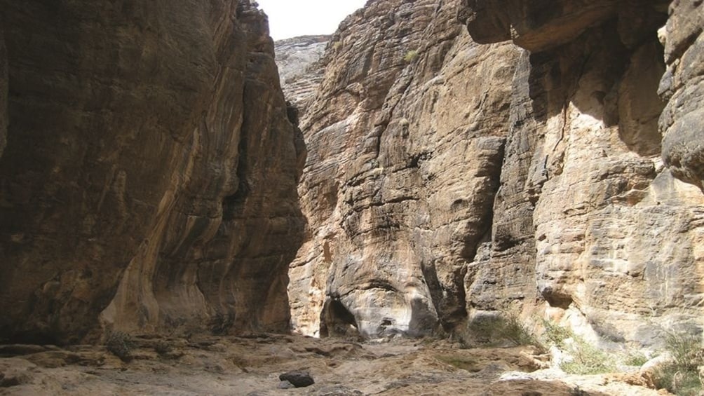 Wadi Bani Awf & Snake Gorge full day tour