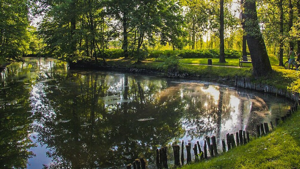 Small pond surrounded by trees.