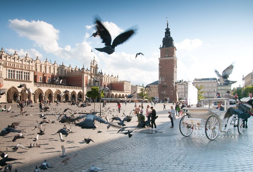 Krakow Cultural Capital of Poland - PRIVATE tour from Warsaw by train