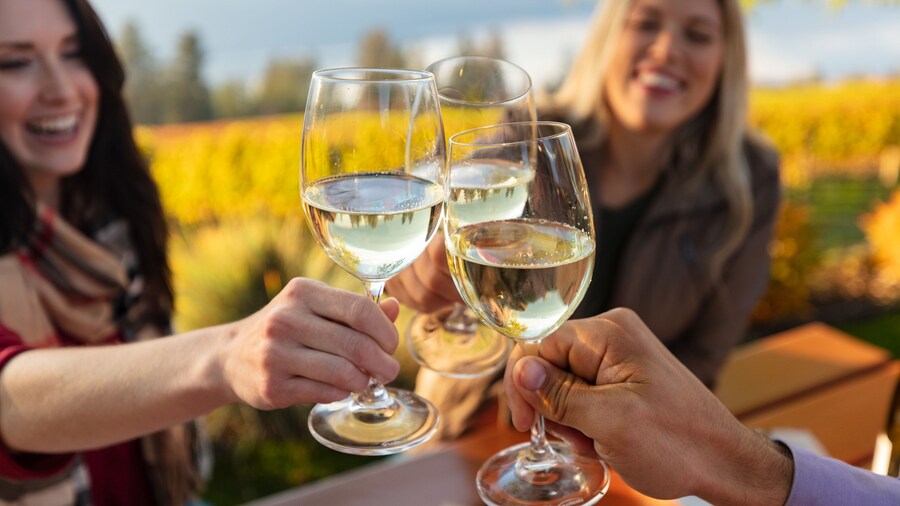 Wine & Food Tour in Sardinia : Small Group