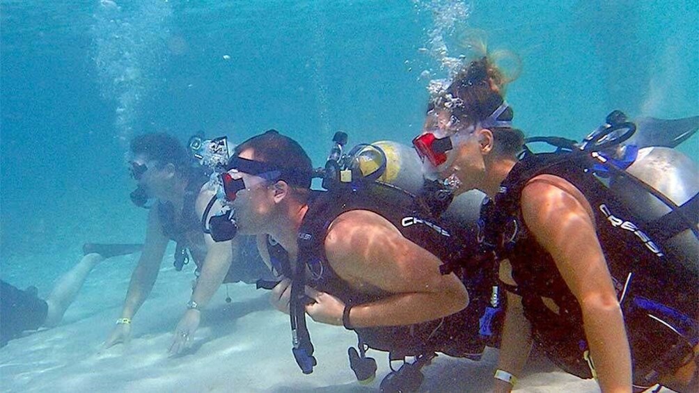 Show item 1 of 5. Group on the bottom of the ocean on the scuba activity in St. Thomas & St. John, US Virgin Islands