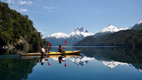 Tour privado de medio día en kayak por el lago Moreno o Gutiérrez