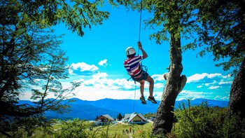 Half-Day Canopy Zipline Adventure