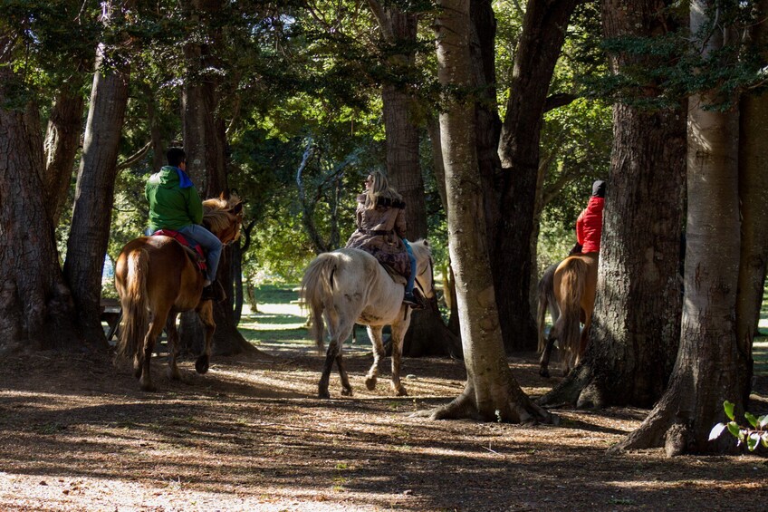 Full-Day Horseback Riding With Lunch