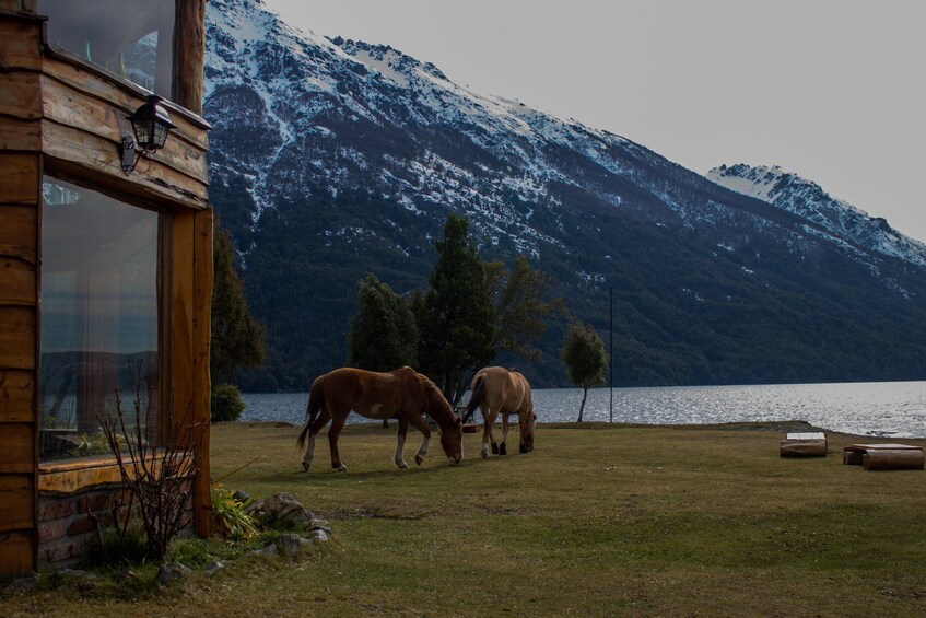 Full-Day Horseback Riding With Lunch