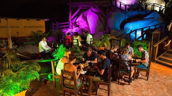 Diner en tour door het nachtleven met drankjes